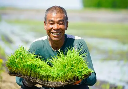 【壮丽70年 奋斗新时代】瞬间 | 丰收大地上,这些笑容最灿烂!
