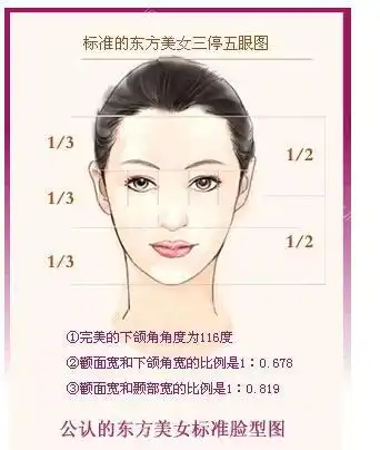 美人脸五官的黄金比例