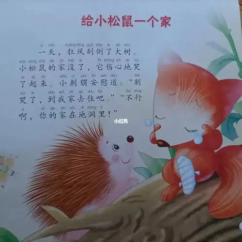 给小松鼠一个家