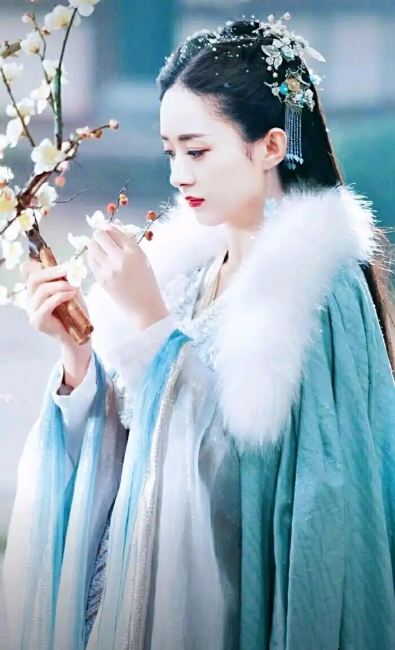 赵丽颖最美的古装造型,最后一张让人心疼