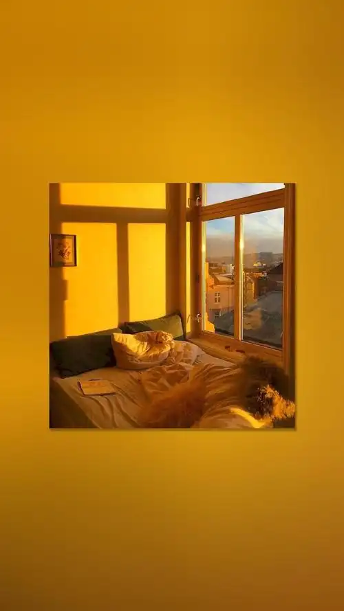 黄色背景图 #yellow vibrant 我最爱的颜色啊aaa