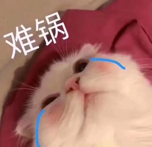 勺道- 斗图表情包 - 斗图神器 - adoutu.com