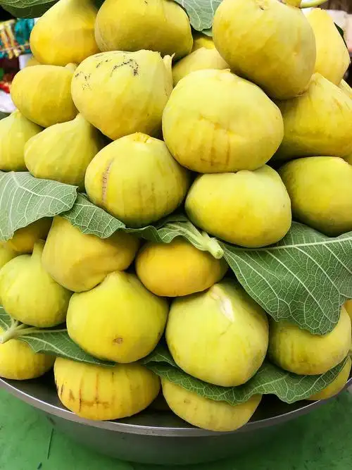 王爷家门口的黄色无花果,个头很大,很甜.