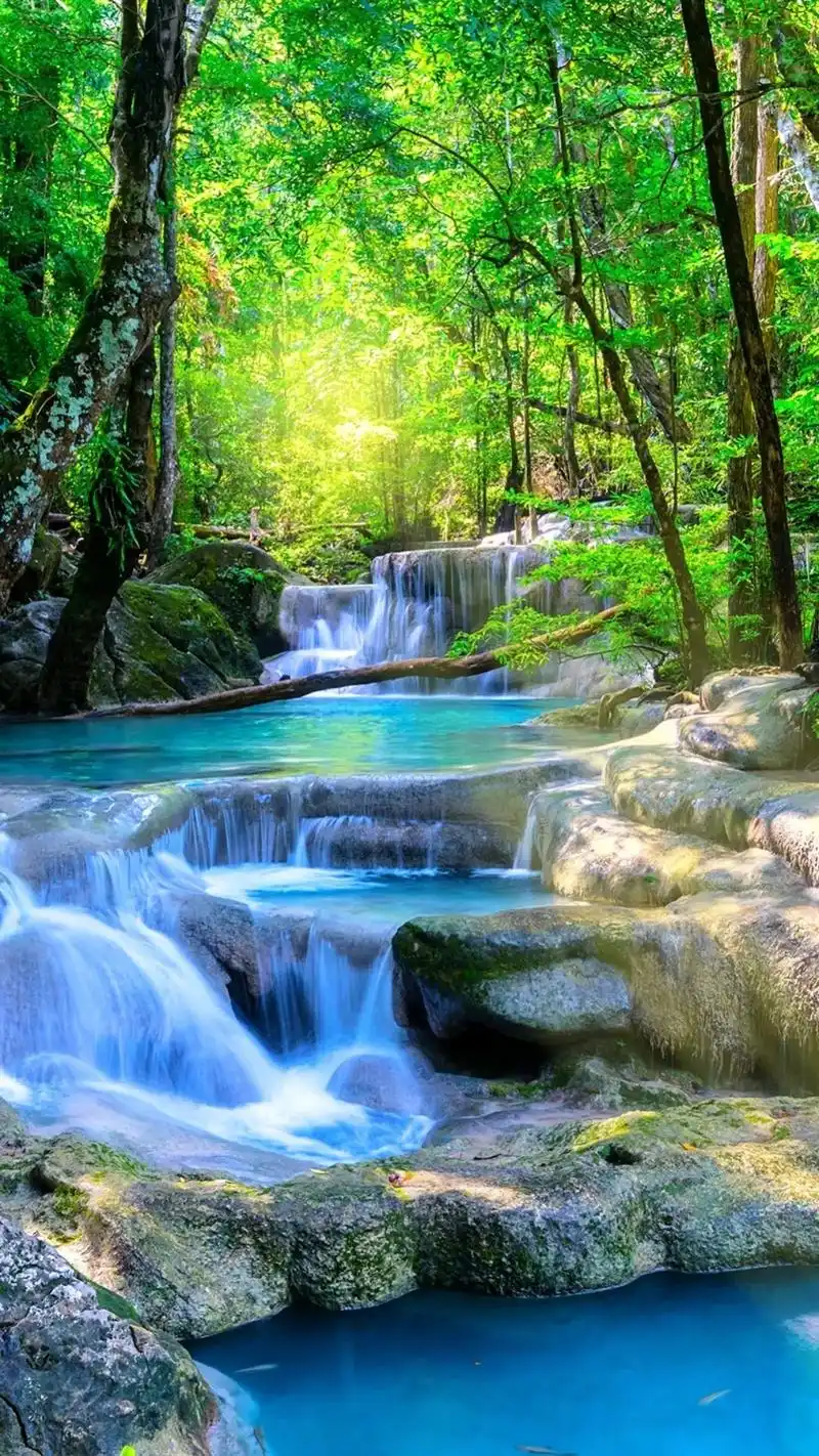 花映新林岸, 云开瀑布泉. #手机壁纸 #抖音图文来了  - 抖音