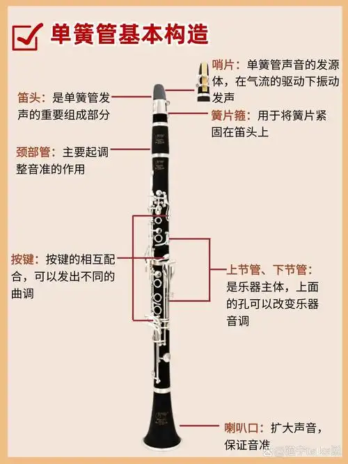 新手小白选购指南!全是干货