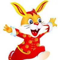 属兔的人用头像_微信头像图片大全