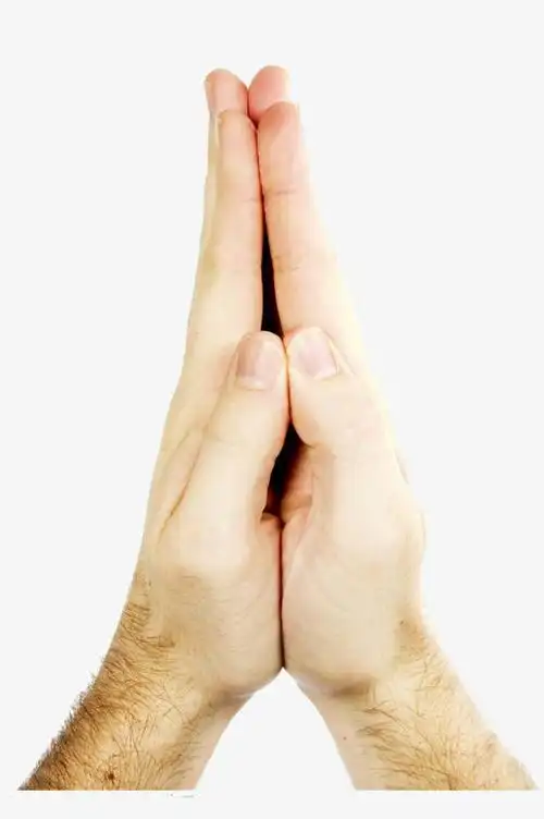 双手金色元素保险盾牌矢量免扣素材