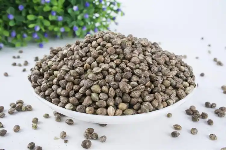 火麻仁的治病功效及食疗方