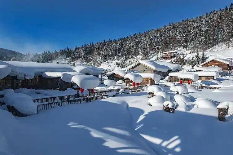 东北旅游必去十大景点(东北有哪些适合赏雪景的地方) - 网络编辑之家