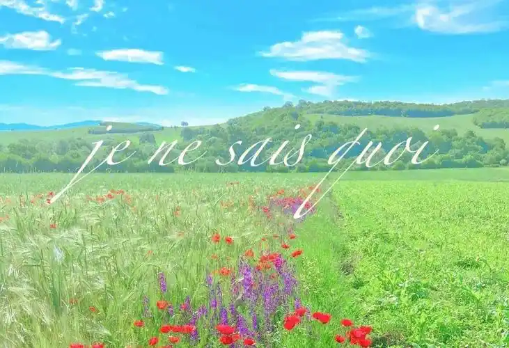 文雅风朋友圈背景图