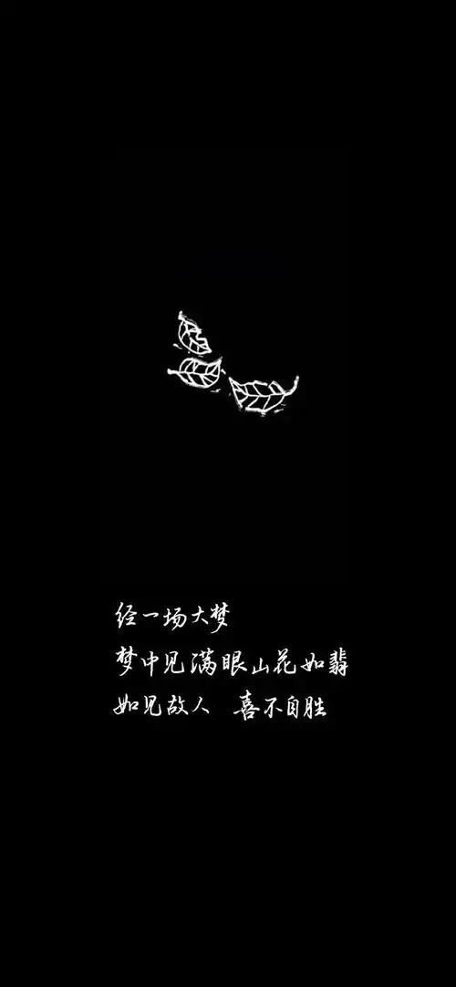 黑色极简文字控高清手机壁纸,风格,唯美,创意,文字,高清,励志,手机