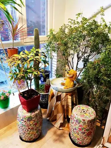 打造我的阳台花园