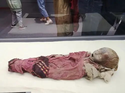 巴州博物馆藏的婴儿干尸,距今2500-2800年. 来自遗产君 - 微博