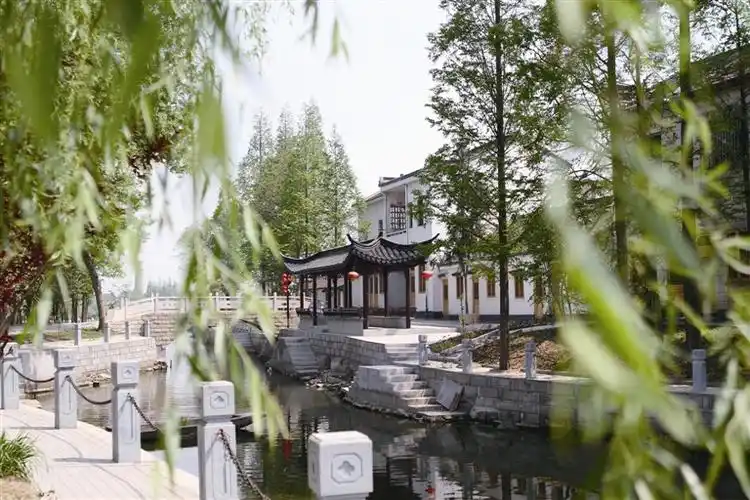 p>菱湖镇位于 a href="#" data-lemmaid="2546230">湖州市 /a>东南20