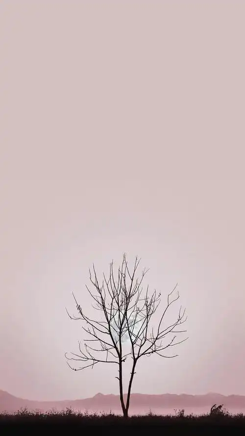 神仙ins风温柔治愈仙女背景图