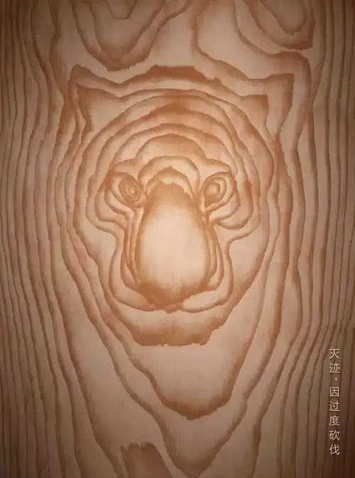 第十届设计之都(中国·深圳)公益广告大赛平面类获奖作品欣赏 - 设计|