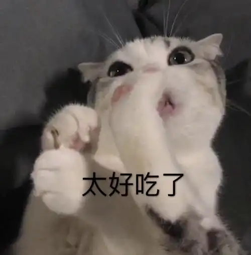 萌宠猫星人太好吃了幸福搞怪逗gif动图_动态图_表情包下载_soogif