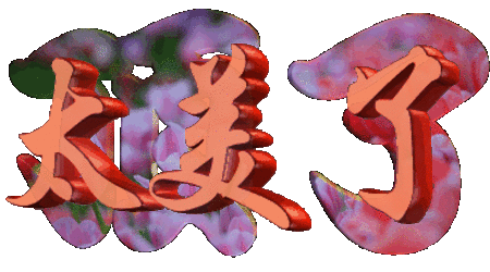 用心灵感悟美 文/韩田梅