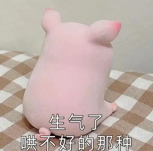 😠 猪猪生气了,哄不好的那种!