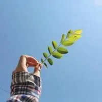 带来好运头像图片_微信头像图片大全