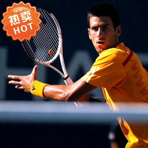 装饰画网球体育运动瞬间美图海报网球场室内写真贴画李娜世界名将