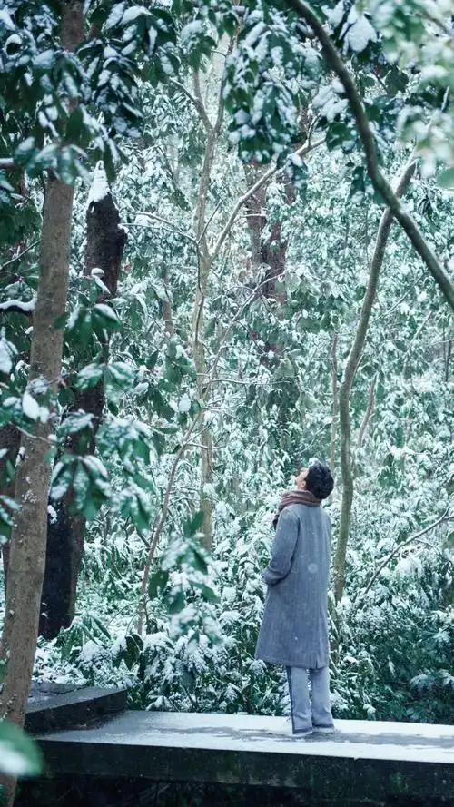 肖战冬至竹林大片