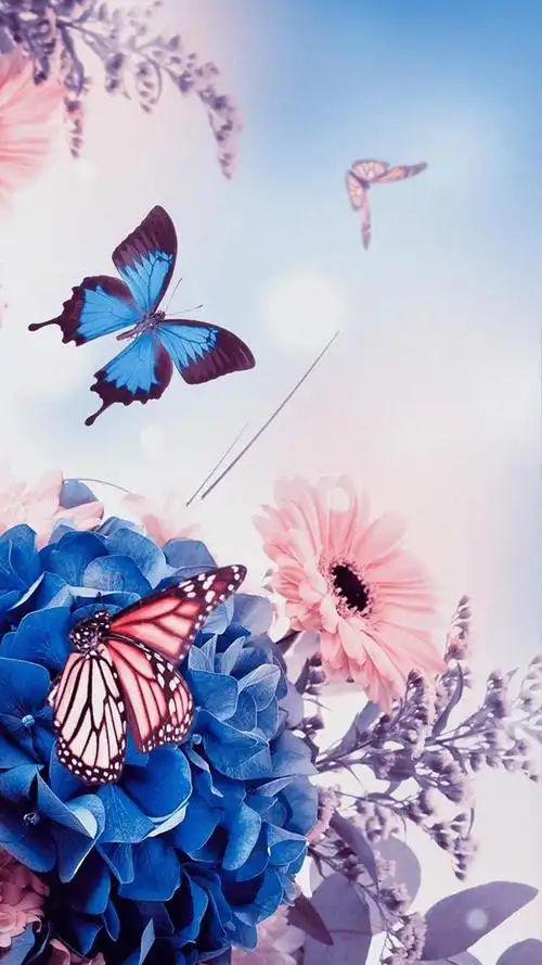 彩色花卉h5背景