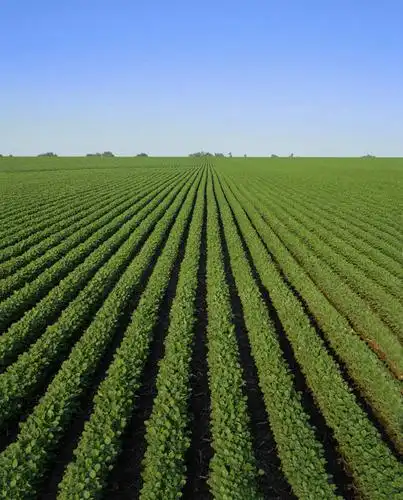 无人,农田,竖图,室外,白天,正面,旅游,度假,庄稼,农作物,草地,草坪