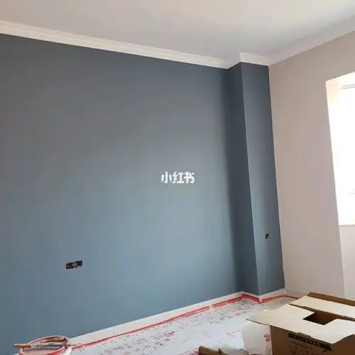 多乐士 水洗蓝 图片无滤镜 图一是卧室 光线没客厅好所以显得深一些