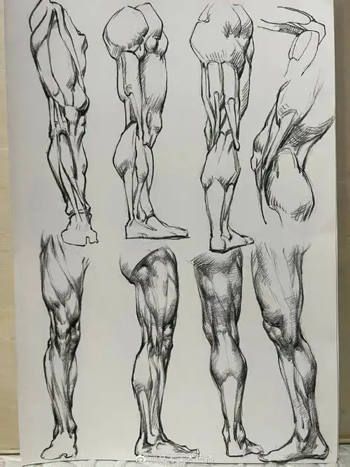 腿部结构绘画素材参考.#美术生#绘画超话