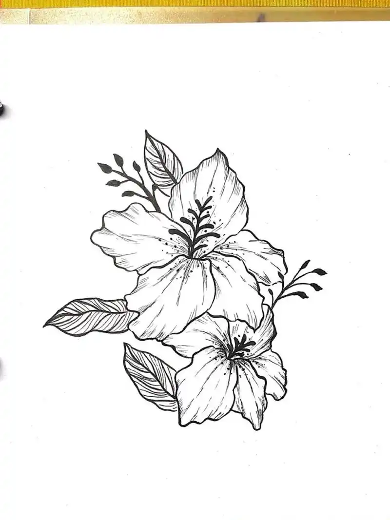 扶桑花(含步骤) 扶桑花 96即朱槿 "朝霞映日殊未妍,珊瑚照水定非鲜.