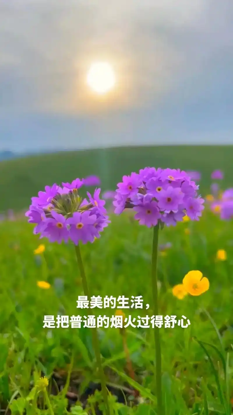 心情日记.最美的生活, 是把普通的烟火过得舒心, 让每一个平 - 抖音