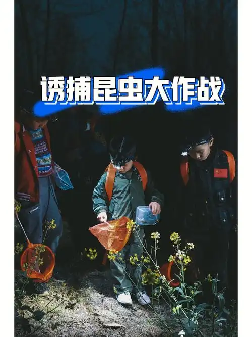 9915你知道蝉一般在哪里产卵吗?你知道蟑螂如何传递信息吗?