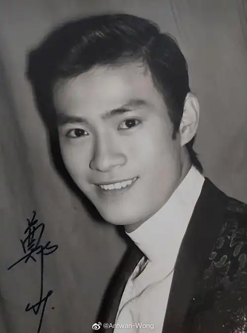 郑少秋惊涛骇浪的事业及感情线