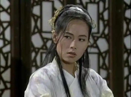 《倚天屠龙记》各版本赵敏对比,张敏排第二,第一竟然是她