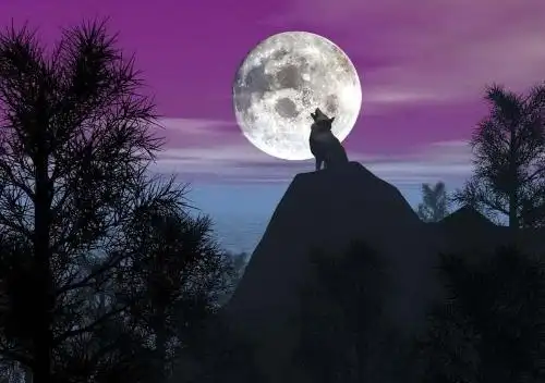 苍狼啸月的意思是什么