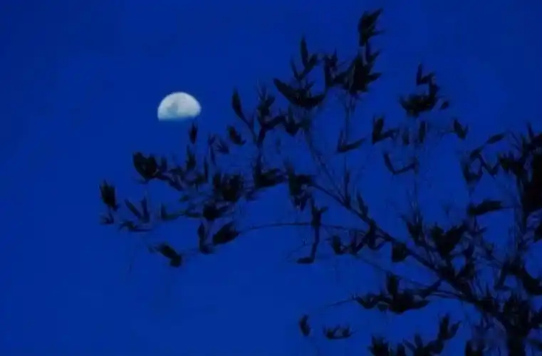 云亮诗选|《半月》