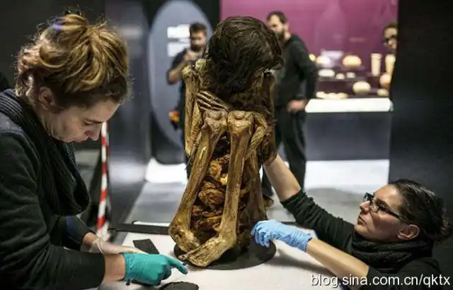 秘鲁发现千年前蜷缩的怀孕木乃伊