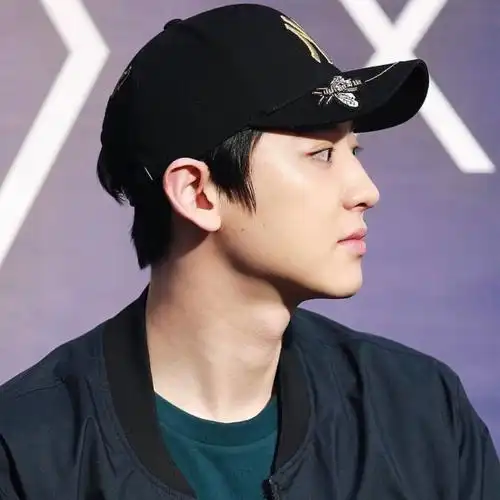 朴灿烈侧面线雕艺术