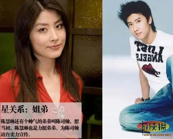 陈慧琳和帅气弟弟陈司翰