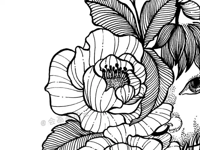 手把手教你画线描画超详细步骤图讲解适合新手学习的教程