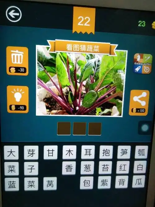 看图猜蔬菜22关