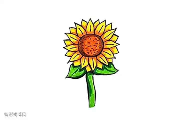 向日葵简笔画画法图解