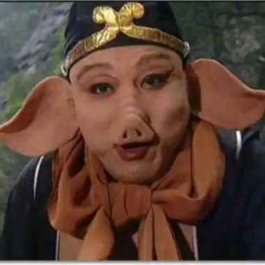 猪八戒头像高清图片 西游记猪八戒真人头像_qq高清头像_找个性网