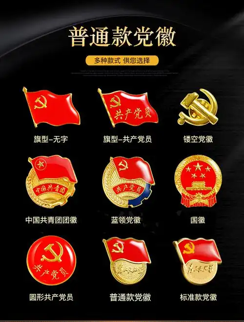 镀金标准党徽胸章磁扣别针式扣蝴蝶扣强力磁铁新党员徽章为人民服务强