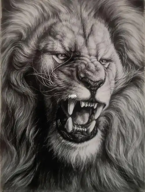 赵宁素描动物雄狮