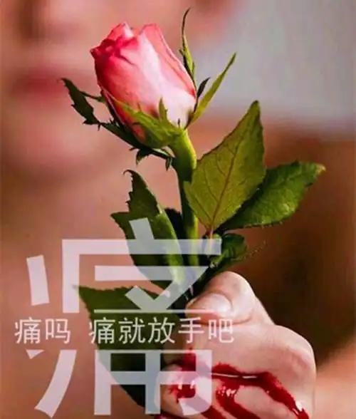 婚姻里坦诚相告有时也会伤痕累累