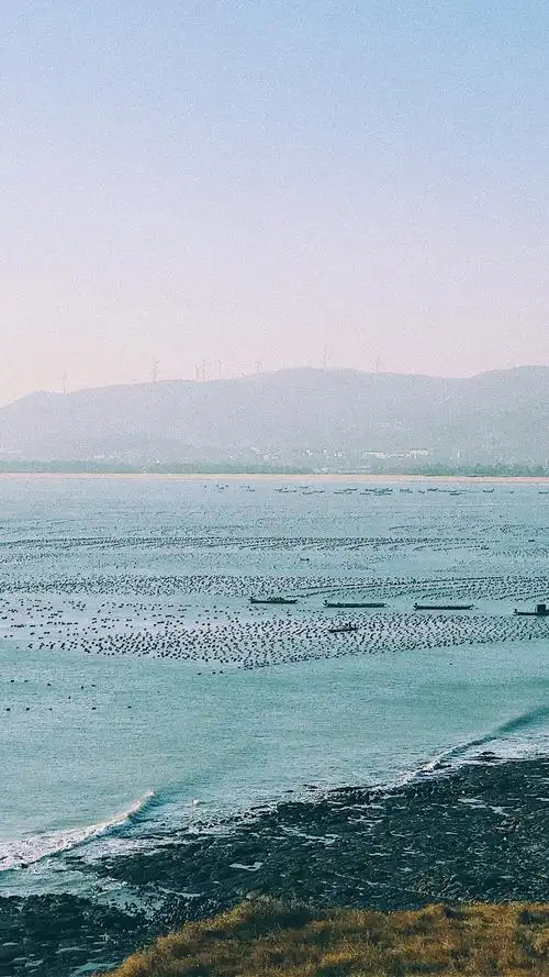 1080_1920竖版 竖屏