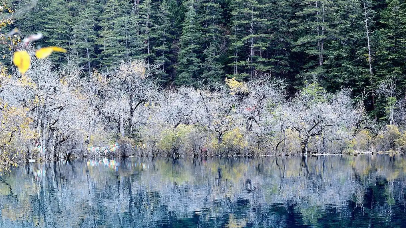 四川九寨沟风景宽屏高清电脑桌面壁纸高清大图预览1920x1080_风景壁纸