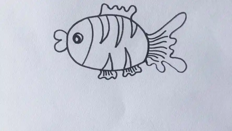 简笔画食物鱼
